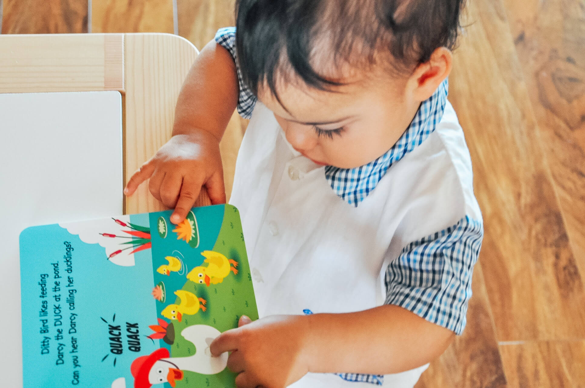 A young child in a white outfit with a blue-checkered collar stands on a wooden floor, pointing to ducks in the "Farm Animal Sounds" picture book by Ditty Bird UK—perfect for early learning fun.
