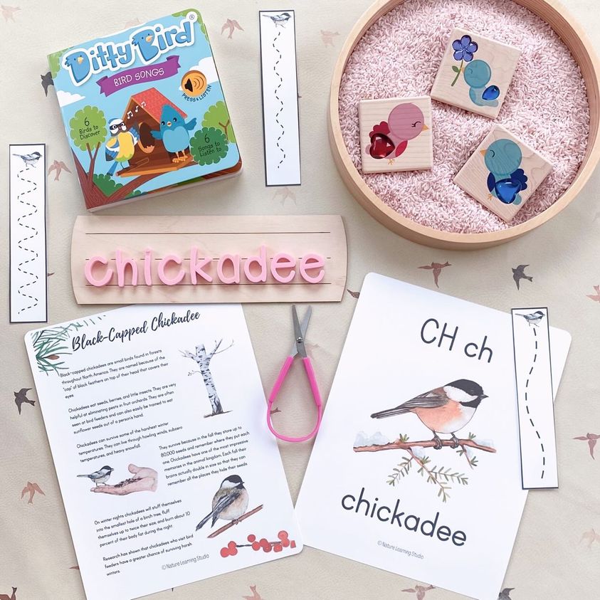 Bird Sounds | USB-C Rechargeable