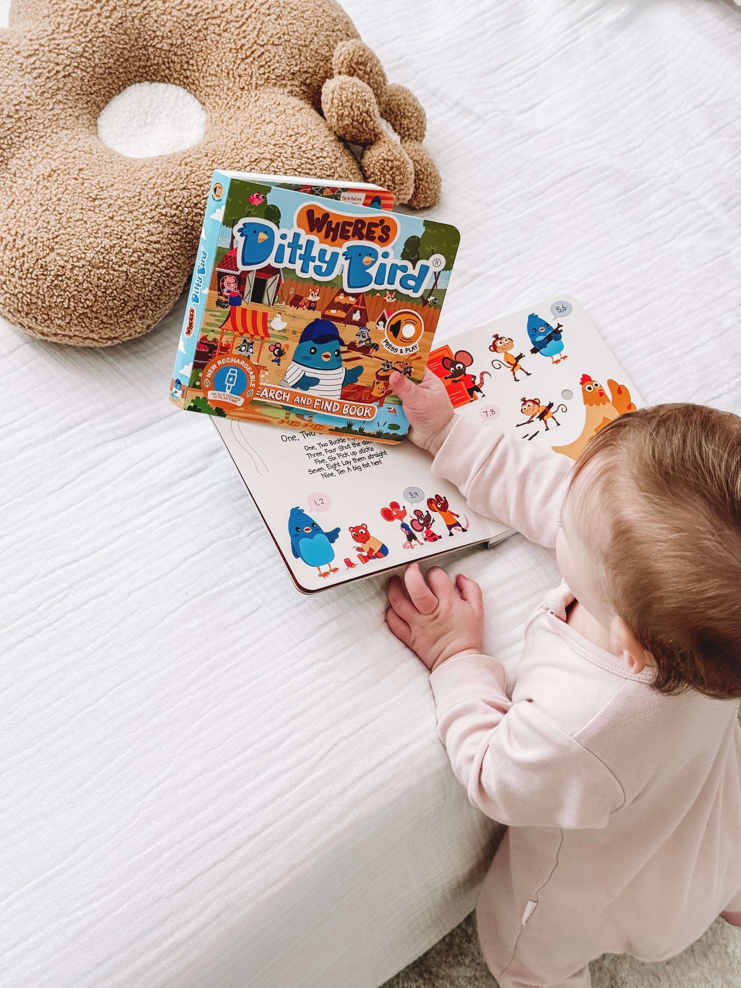 NEW! Where's Ditty Bird? Search & Find | USB-C Rechargeable